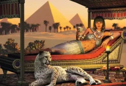 Dinner at the Pyramids