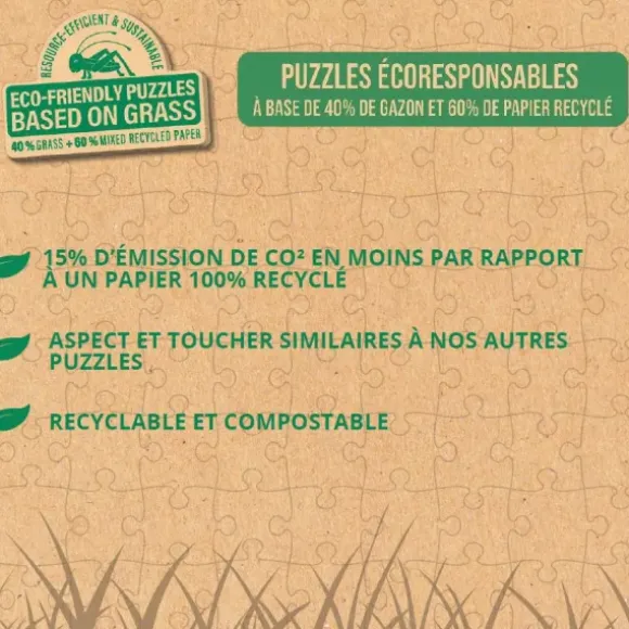 Disney - Mickey & Minnie en Floride - Eco-Friendly