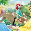 Disney Princesses