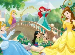 Disney Princesses