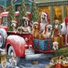 Dogs on Truck
