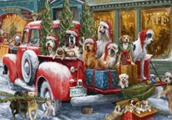 Dogs on Truck