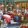 Dogs on Truck