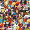 Dragon Ball Challenge