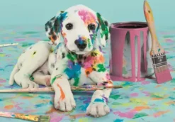 Drôle de Dalmatien