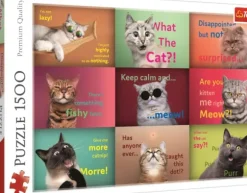 Drôles De Visages De Chats