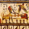Egyptian
