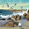 En BRETAGNE Il ne pleut que sur les Cons