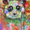 Enigmatic Panda