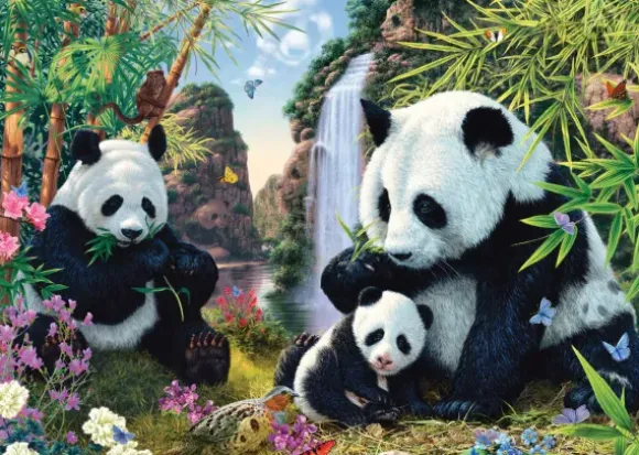 Famille de Pandas
