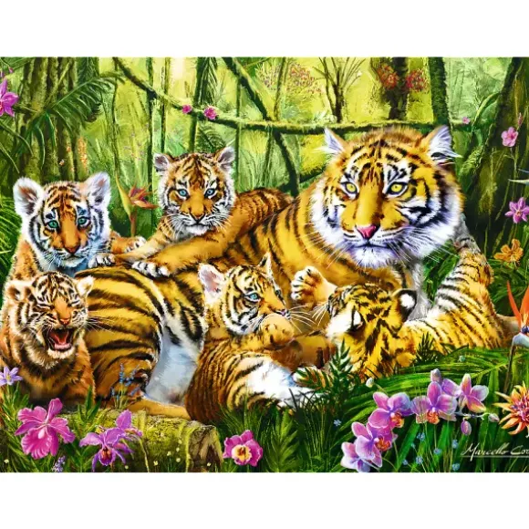 Famille de Tigres