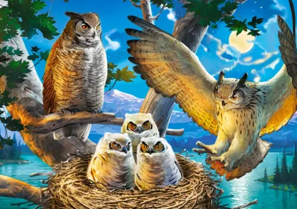 Famille d'Hiboux