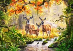 Famille Royale