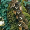 Family Tree