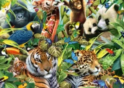 Faune colorée