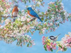 Festival des Fleurs