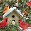 Festive Feast