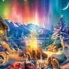 Feu de Camp sous les Étoiles