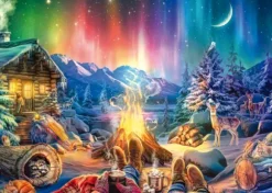 Feu de Camp sous les Étoiles