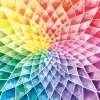 Fleur Aux Couleurs Vives