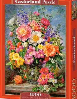 Fleurs de Juin dans un Éclat Radieux