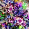Fleurs et Papillons