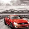 2015 Ford Mustang GT Fifty Years of Power