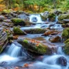 Forest Stream in Autumn