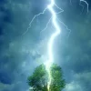 Foudre frappant un arbre