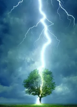 Foudre frappant un arbre
