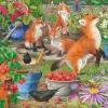 Foxy Ladies