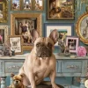 Frenchie