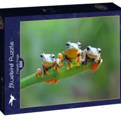 Friendly Frogs