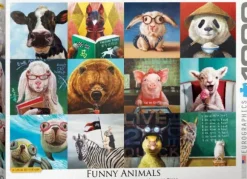 Funny Animals