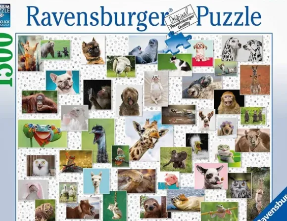 Funny Animals Collage