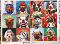 Funny Dogs