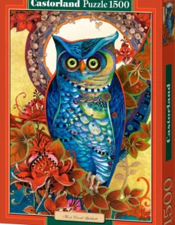 Galchutt David - David Galchutt : Hibou