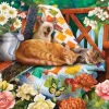Garden Cats