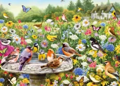 Greg Giordano: The Secret Garden