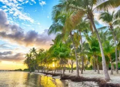 Guadeloupe - Anse Champagne