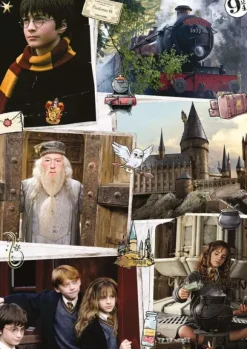 Harry Potter - Bienvenue à Poudlard