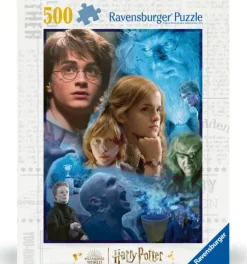 Harry Potter à Poudlard (TM)