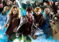 Harry Potter (TM)