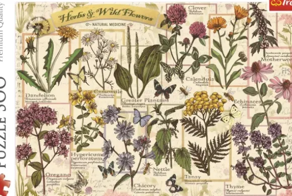 Herbier : Herbes Médicinales