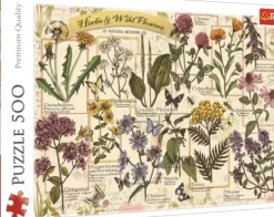 Herbier : Herbes Médicinales