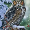 Hibou Silencieux