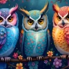 Hiboux et Nuit Enchantée