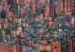 Hong-Kong, La Ruche