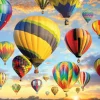 Hot Air Balloons