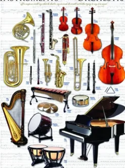 Instruments de musique